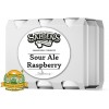 Пиво Sour Ale Raspberry, светлое, нефильтрованное в упаковке 20шт × 0.5л.