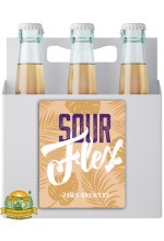 Пиво Sour Flex, светлое, нефильтрованное в упаковке 20шт × 0.5л.