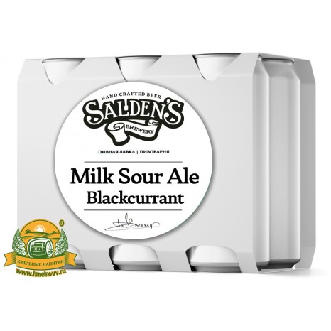 Пиво Milk Sour Ale Blackcurrant, светлое, нефильтрованное в упаковке 20шт × 0.5л.