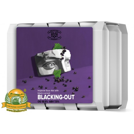 Пиво Blacking-Out, в упаковке 20шт × 0.5л.