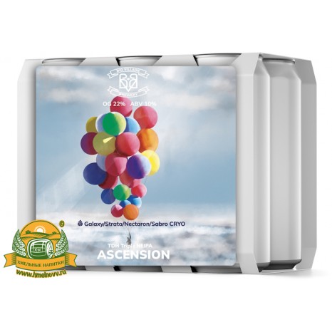 Пиво Ascension, в упаковке 20шт × 0.5л.